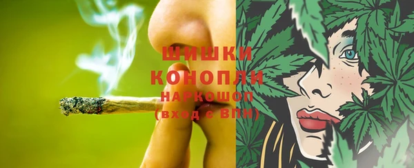 молекула духа Арсеньев