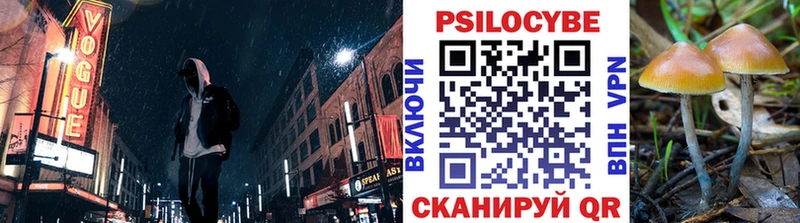 Псилоцибиновые грибы Cubensis  купить наркотик  Завитинск 